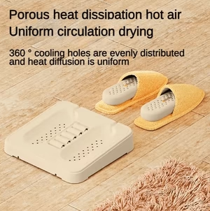 2-in-1 Shoe Dryer – Fast Drying  Deodorizing for All Footwear