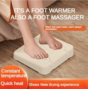 2-in-1 Shoe Dryer – Fast Drying  Deodorizing for All Footwear